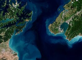 Earth from Space- Cook Strait, New Zealand ESA24912671.jpg