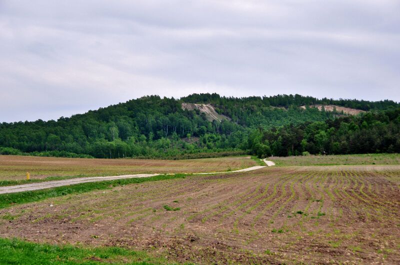 ملف:LysaHora near Dunaiv.JPG