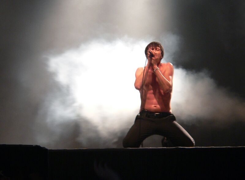 ملف:The Tears-2005-Roskilde-5.jpg