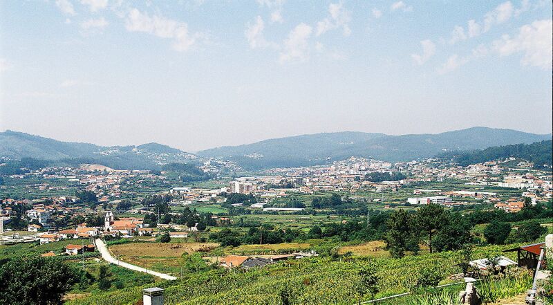 ملف:Vale de Cambra.JPG