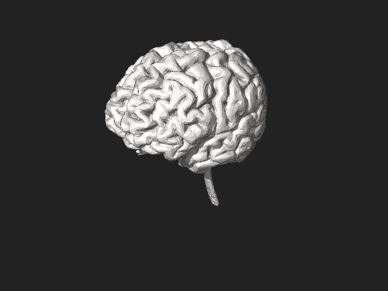 ملف:3DPX-003765 3DModel of Brain Nevit Dilmen.stl