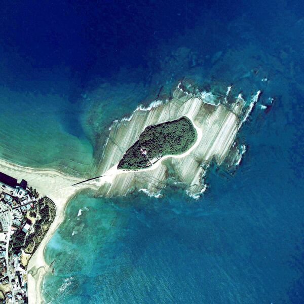 ملف:Aoshima Miyazaki Japan.jpg