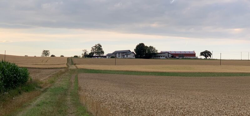 ملف:Die Maisenbachsiedlung.jpg