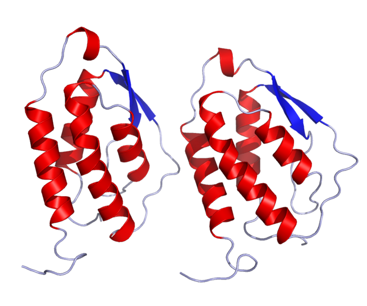 ملف:GMCSF Crystal Structure.rsh.png