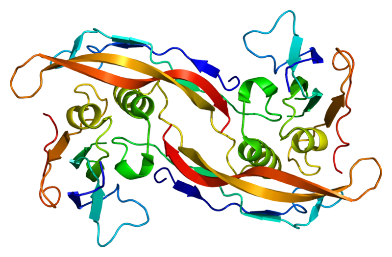 ملف:Protein BMPR1A PDB 1es7.png