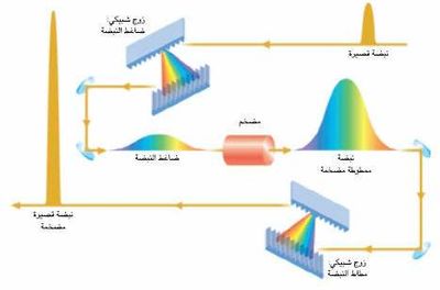 SCI2003b19N1 H07 002793.jpg