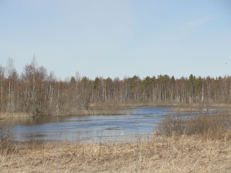 ملف:Vizma river.JPG