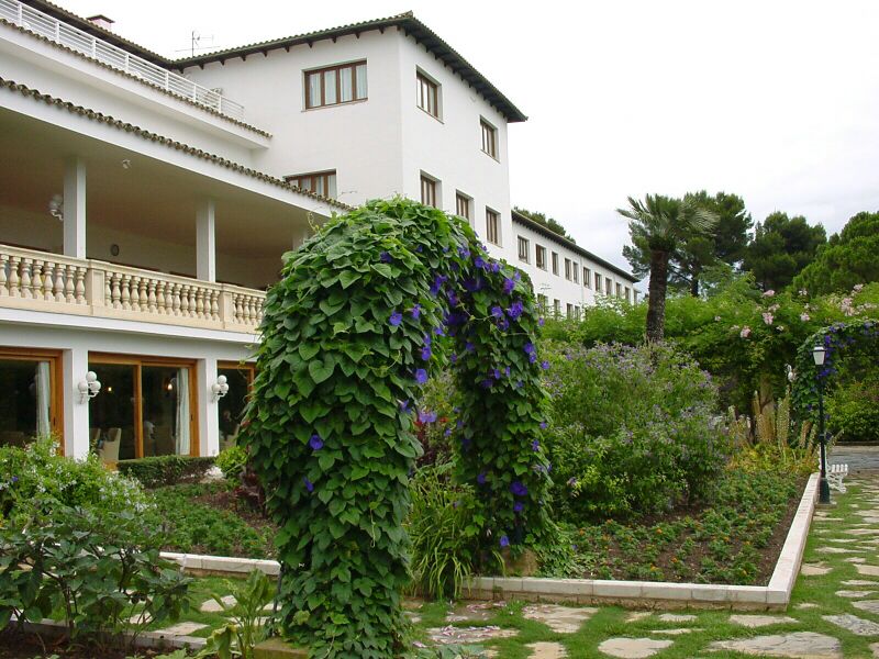 ملف:HotelFormentor2004.jpg