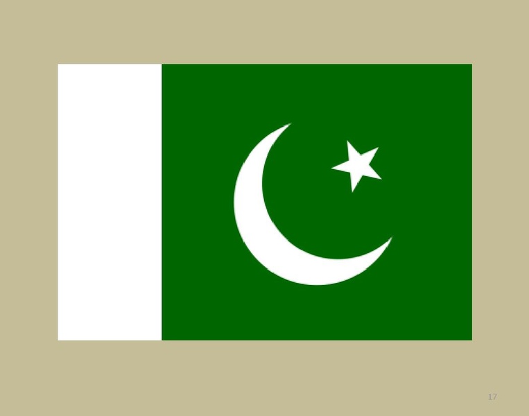 ملف:Pakistan Smart Book v1.pdf