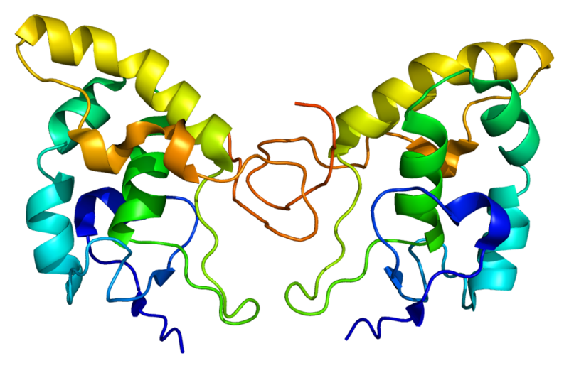 ملف:Protein FZD8 PDB 1ijy.png