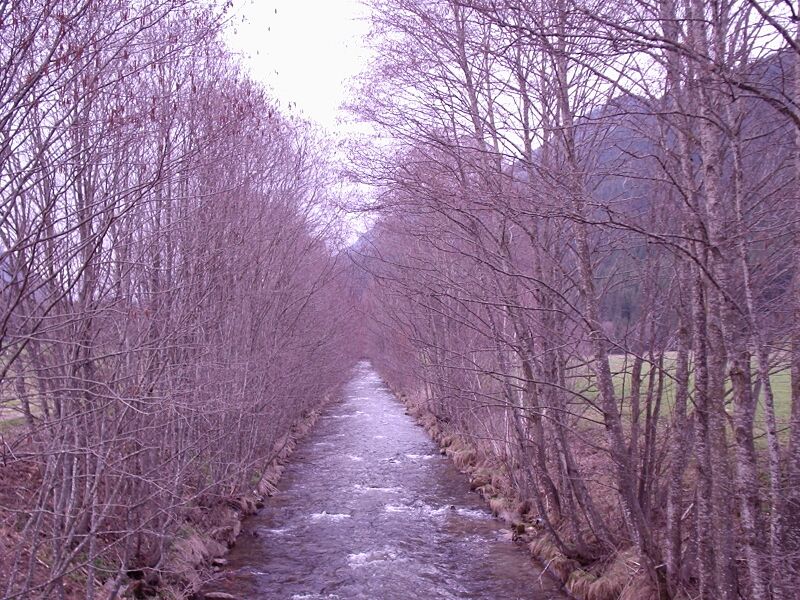 ملف:Rio Casies.JPG