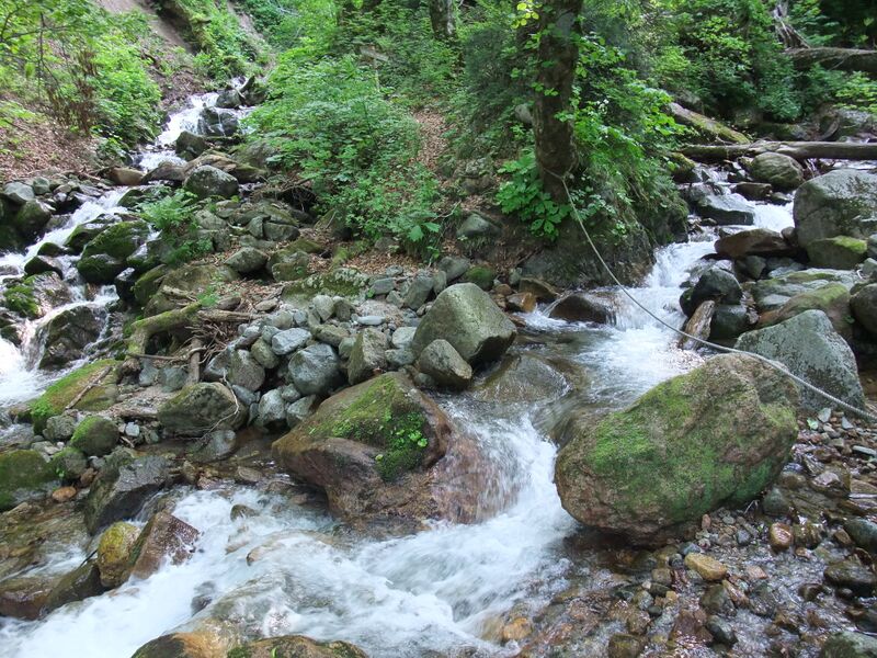 ملف:Sirakami Gawa.jpg