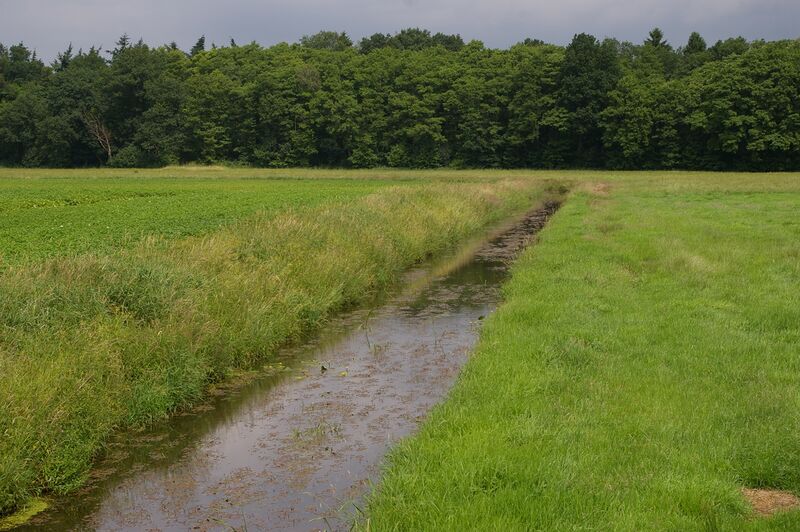 ملف:Der Kuhbach.jpg