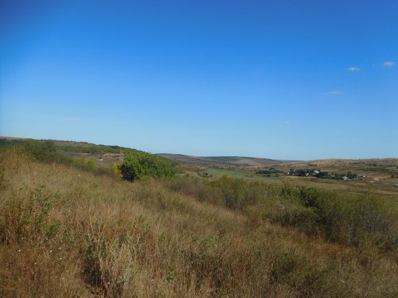 ملف:Kosharka 15.jpg