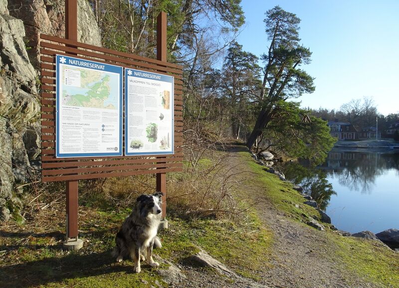 ملف:Skogsö naturreservat febr 2020.jpg