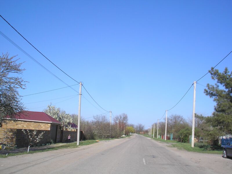 ملف:Zelyonaya Niva 24.jpg