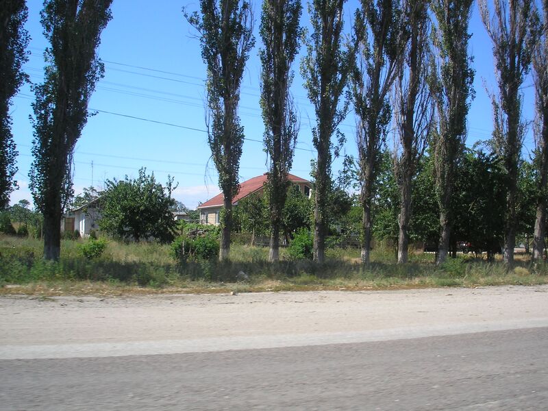 ملف:ZhemchuzhinaKrima 3.jpg