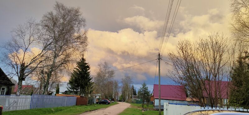 ملف:Д. Кривец.jpg