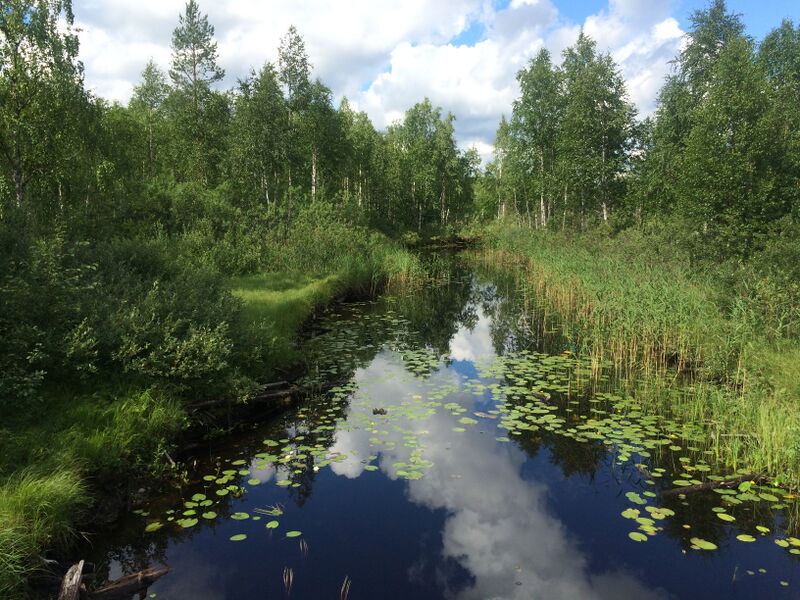 ملف:Няльма 3.jpg