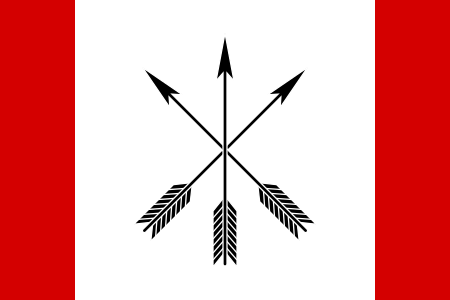 ملف:Flag of Chyhyryn.svg