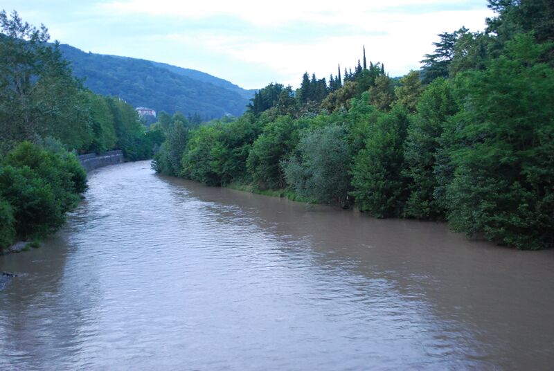 ملف:Hosta River.JPG