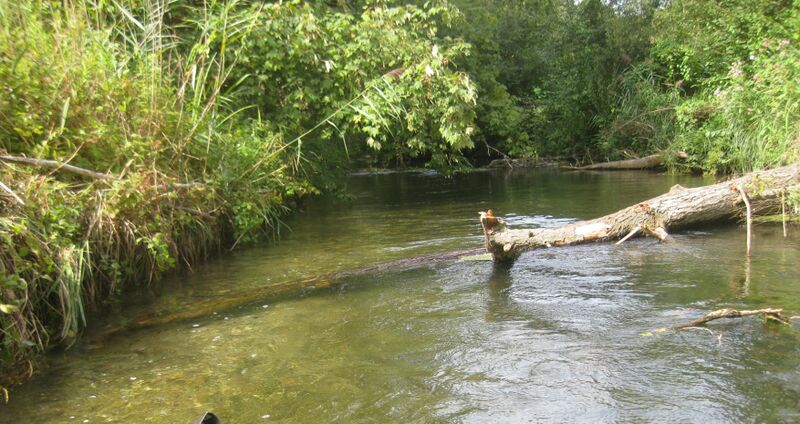 ملف:Rheinseitenkanal 2.JPG