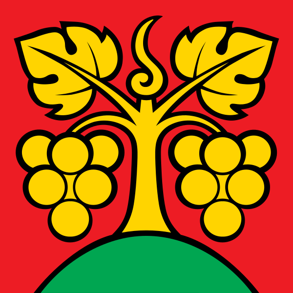 ملف:CHE Bühl Flag.svg