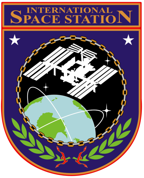 ملف:ISS Logo.svg