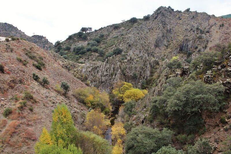 ملف:Río Jaramillo.JPG