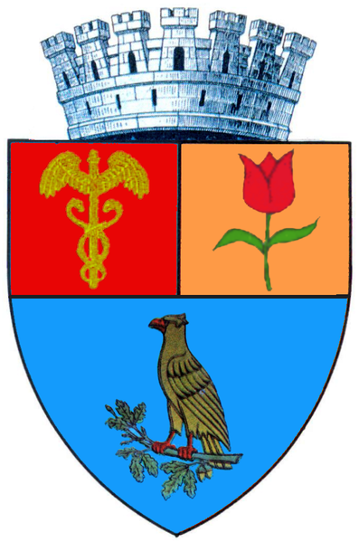 ملف:ROU AG Pitesti CoA.png