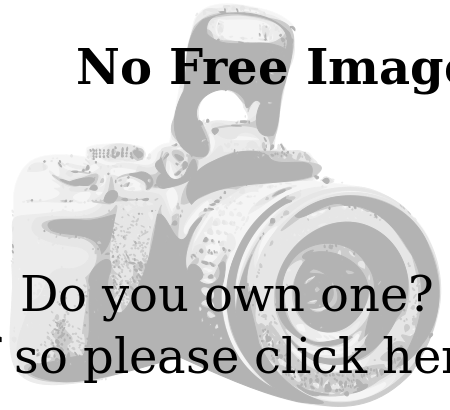ملف:Replace this image.svg