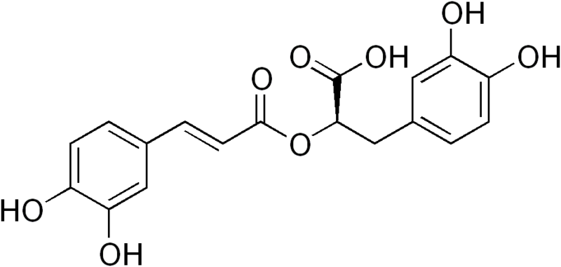 ملف:Rosmarinic acid.png