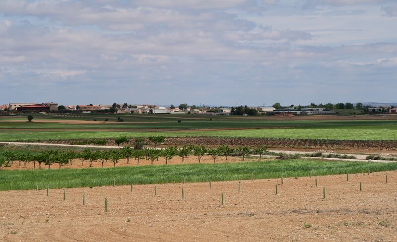 ملف:Valdeganga, desde CM-3218.jpg