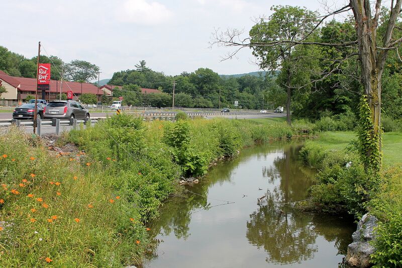 ملف:Mauses Creek looking downstream.JPG
