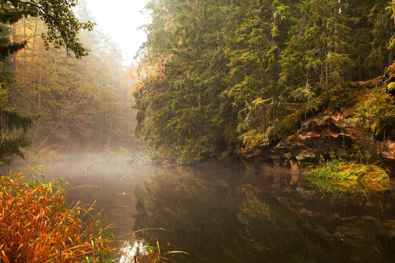 ملف:Oktoobris Taevaskojas.jpg