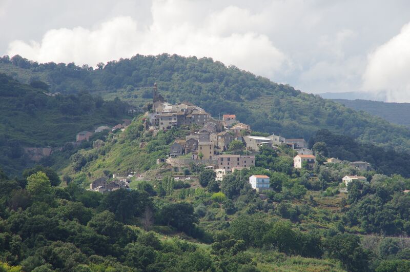 ملف:Sorbo Ocagnano.JPG