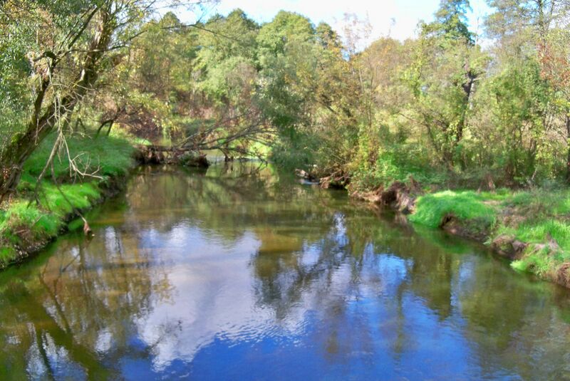 ملف:Utrata Wawrzyszew zachód.jpg