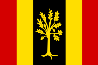 ملف:Waalwijk vlag.svg