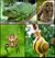 Animal diversity October 2007 for thumbnail.jpg