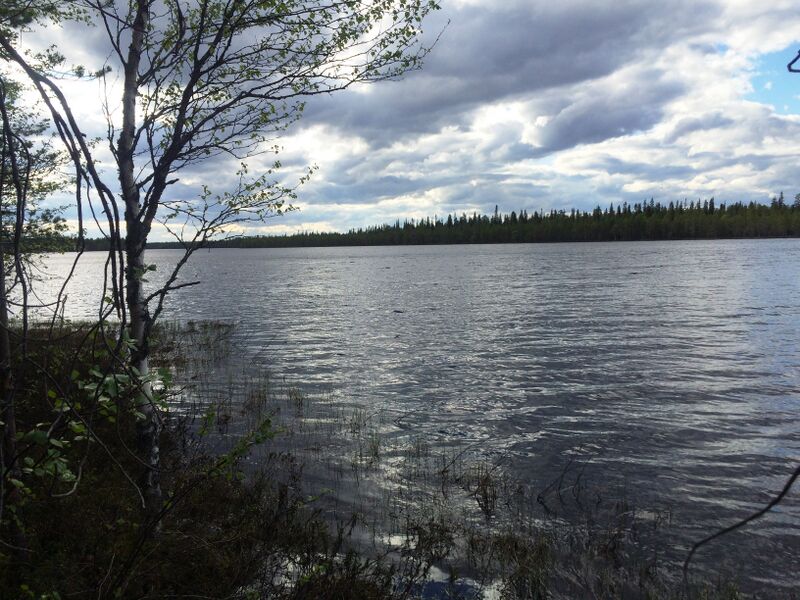 ملف:Озеро Ярошъярви 2.jpg