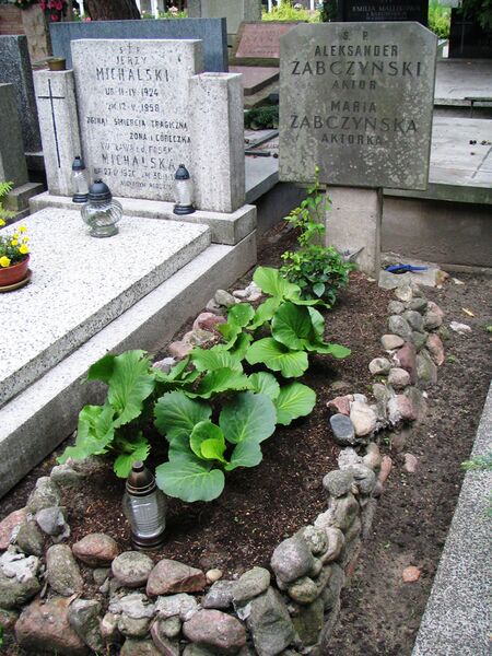 ملف:Nagrobek aleksander zabczynski.JPG