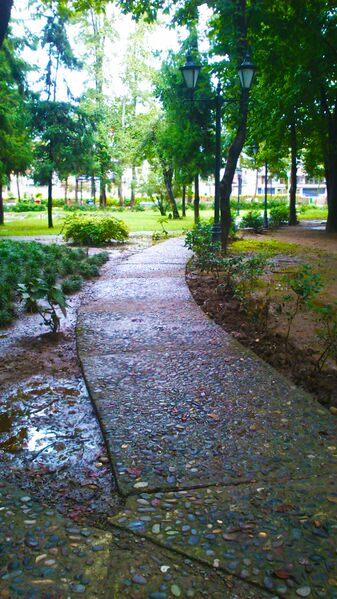 ملف:عمارت کلاه فرنگی رشت.jpg