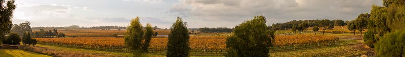 ملف:Barossa Valley banner 1.jpg