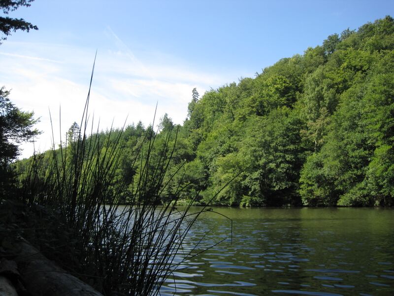 ملف:Heidenrod Wisper Wispersee.JPG