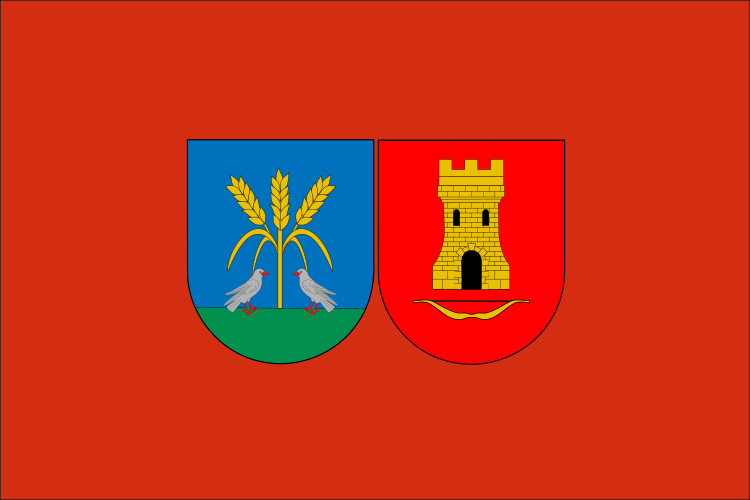 ملف:Lizoainibar-Arriasgoitiko bandera.svg