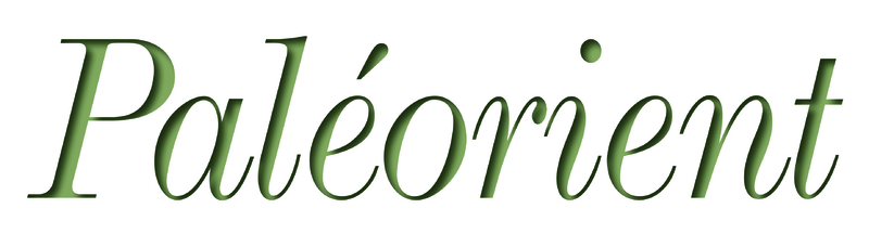 ملف:Logo Paléorient.tif