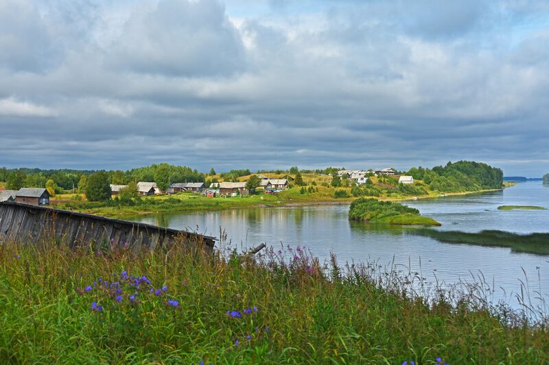 ملف:Medvedevskaya 008 7364.jpg