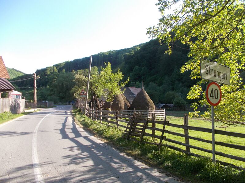 ملف:RO AB Strungari.JPG