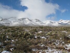 Snow Franklin Mountains El Paso Texas Dec 01 2009 IMG 1859.JPG