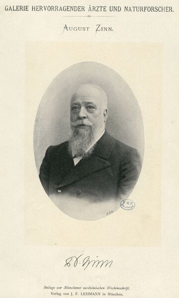 ملف:August Zinn CIPB0728.jpg
